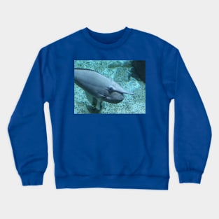 Unicorn Fish Crewneck Sweatshirt